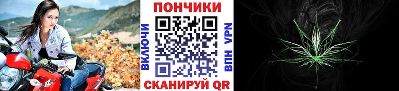 Купить закладки  Новый Уренгой  Канабис OG Kush 